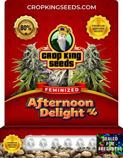 afternoon-delight 4-image